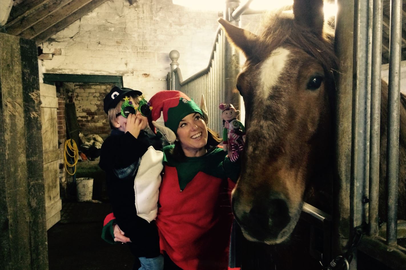 Meeting the horses to pull Santa's Sleigh!