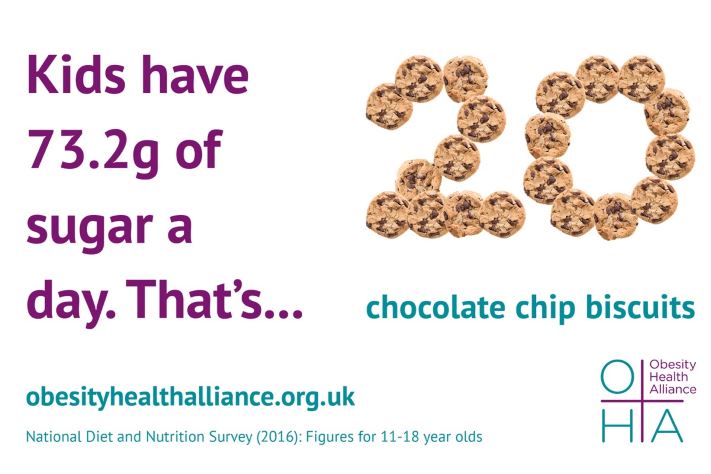 Obesity Health Alliance - biscuit infographic